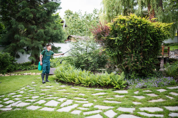 Best Pest Control Near Me  in Somerville, MA