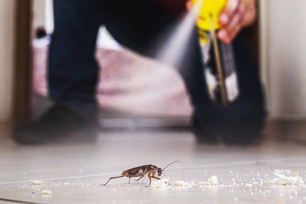Best Best Pest Control Companies  in Somerville, MA